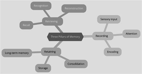 91 rb.com|Study of medium